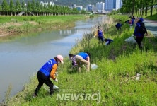 해운대구, 수영강변 일대 환경정비 및 생태교란 식물 제거 추진 | 뉴스로