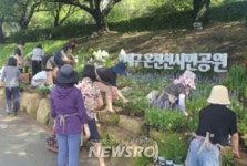 연제구, ‘마을정원사 공공정원’ 조성 | 뉴스로