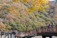 [기획] 담양군, 풍성한 관광 콘텐츠 개발 | 뉴스로
