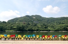 뉴스로 - 지자체가 보인다! - 하동군, 제8회 하동섬진강문화재첩축제 성료 하동군, 제8회 하동섬진강문화재첩축제 성료