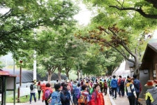 ‘2024년 외씨버선길 청송 함께 걷기’ 함께해요~ | 뉴스로