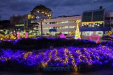 순창군청 광장, 성탄절 앞두고 화려한 조명으로 ‘변신’ | 뉴스로