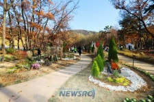 금천구, ‘녹색도시 금천’을 더욱 푸르게… 숲과 계곡의 향기 담은 오미생태공원 조성 | 뉴스로