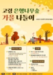 고령 은행나무숲 가을 나들이 행사 개최 | 뉴스로