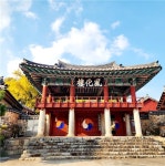 광양향교, 황금빛 은행잎 찰랑거림 속 가을 풍경 | 뉴스로