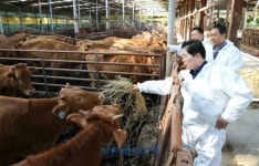 유자골 고흥 한우, 전국 최고 명품 한우로 우뚝 | 뉴스로