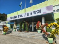 주민들이 꽃 피운 가을 국화, 금성면을 물들이다 | 뉴스로