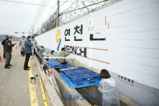 연천군, 민·관·군 협력으로 군부대 담장 새롭게 단장 | 뉴스로