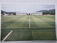 동두천시, 종합운동장 인조잔디 교체로 예산 절감과 지역사회 귀감 | 뉴스로