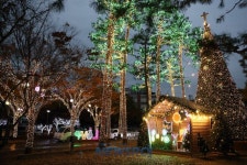 행복북구, 더 빛나길 | 뉴스로