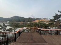 ‘따뜻한 겨울을 위한 가로수의 알록달록한 변신’ | 뉴스로