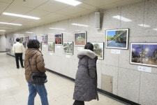 길음역 하늘갤러리에서 다시 만나는 성북의 매력 ‘사진 공모전 수상작 특별전’ | 뉴스로