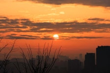 2025 하늘공원 해맞이 축제 개최 | 뉴스로