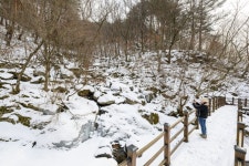 정선 항골 숨바우길, 겨울 힐링 트레킹 코스로 각광 | 뉴스로