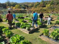관악구‘친환경 도시텃밭’이용자 모집 | 뉴스로
