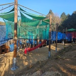 사천 케이블카 자연휴양림 네트포레 시범운영 | 뉴스로