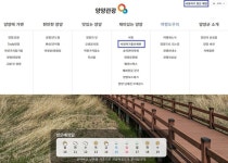 해양 레저스포츠 기상융합서비스로 안전과 재미를 동시에 잡는다! | 뉴스로