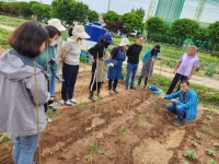 수원시, 도시농업 전문가 양성과정 교육생 모집 | 뉴스로
