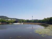 두류공원, 힐링·운동·산보·꽃구경까지 도심 속 최대 휴식처 | 뉴스로
