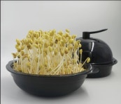 평택시, 찾아가는 경로당 여가 프로그램 운영 | 뉴스로