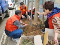 가수원동 주민자치회, 꽃길 조성으로 아름다운 거리 만들기 | 뉴스로