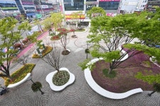 도심 속 정원, 봄꽃으로 물들다 달성군 다사광장·세천늪테마정원 새 단장 | 뉴스로