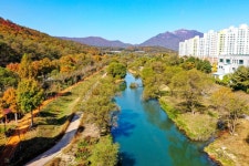 계룡시, 두계천·농소천 주민친화 하천 조성 박차 | 뉴스로