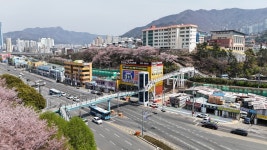 뉴스로 - 지자체가 보인다! - 부산 북구, 리버워크에 이어 야시고개와 낙동강 갈맷길을 잇는 보행전용교량 개통 부산 북구, 리버워크에 이어... 