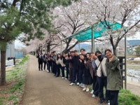 음성군 금왕읍 직원, 문화가 있는 벚꽃 나들이 | 뉴스로