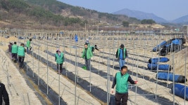 뉴스로 - 지자체가 보인다! - #남일면 | 뉴스로 - 지자체가 보인다! #남일면 | 뉴스로 - 지자체가 보인다!