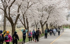예산군, 봄 향기 가득한 내포 가야산 봄맞이 걷기행사 성료 | 뉴스로
