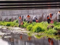 고창군 부안면 남여의용소방대, 오룡천 환경 정화 활동 | 뉴스로