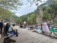 성주 회연서원에서 피어난 자연과 예술의 하모니 | 뉴스로