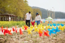 2025 화순봄꽃축제와 함께하는 “동복면 연둔리숲정이 ‘쉼,’여행” 성공적 출발 | 뉴스로