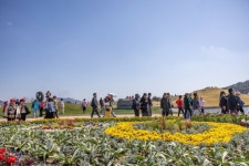 순천만국가정원, 누적 관람객 100만 명 돌파 | 뉴스로