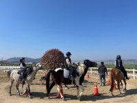 함안군승마공원, 2025년도 학생승마 체험 지원사업 실시 | 뉴스로