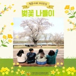 고양시정신건강복지센터, 벚꽃 만개한 일산호수공원에서 자조모임 진행 | 뉴스로