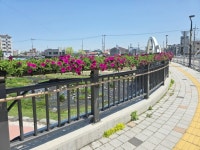 함양군, 읍시가지 교량 3개소 걸이화분 설치로 가로경관 개선 | 뉴스로