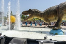 엑스포의 한계를 뛰어넘다! 사계절 문화의 장으로 진화한 당항포관광지! | 뉴스로