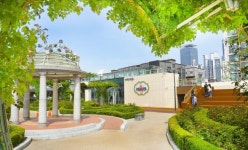 장미와 중랑천을 품은 전망카페, ‘중랑장미카페’ 개관 | 뉴스로