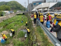 철원군자등다솜봉사단, 자등복지회관 인근 환경정화활동 실시 | 뉴스로