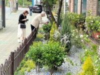 서대문구, 보건소 별관에 심리적 안정감 더하는 정원 조성 | 뉴스로