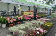 거창군, 2025년 제6회 거창아리미아꽃축제 성황리 개최 | 뉴스로