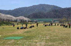 뉴스로 - 지자체가 보인다! - 장흥파크골프협회, 자발적 환경정화 봉사활동 나서 장흥파크골프협회, 자발적 환경정화 봉사활동 나서