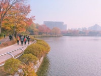 걷기 좋은 계절, 고양누리길에서 만나는 초록 힐링 | 뉴스로