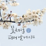 디지털 손글씨로 표현한 마음, 여주시에서 꽃피다 | 뉴스로