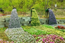 ‘꽃길 따라 찍는 도장 여행’ 강화군 화개정원·석모도수목원, 전국 스탬프투어 ‘아름다운 동행’ 참여 | 뉴스로