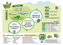 순천시 월등면, 「제3회 월등향매실 수확체험행사」 개최 | 뉴스로