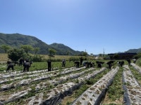 김해시·김해생명과학고, ‘2025년 김해시 농촌마을·학교 간 공동교육과정’ 운영 | 뉴스로