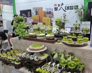 경북농식품대전서, ‘팔맛대장경’으로 김천 대박 인기 | 뉴스로